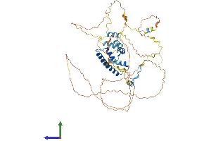 AlphaFold protein structure predicition of Human Recombinant CENPT Protein, UniprotID Q96BT3