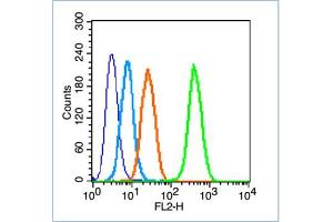 HL-60 cells probed with Insulin Receptor Beta Antibody, unconjugated  at 1:100 dilution for 30 minutes compared to control cells (blue) and isotype control (orange) (ISR-beta anticorps  (AA 1001-1100))