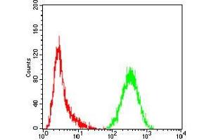 Flow cytometric analysis of Hela cells using CASP3 mouse mAb (green) and negative control (red).