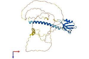 AlphaFold protein structure predicition of Human Recombinant CYTIP Protein, UniprotID O60759
