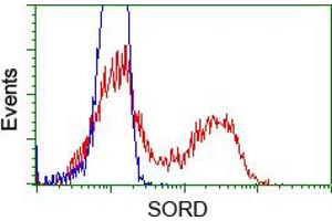 Flow cytometric analysis of Hela cells, using anti-SORD antibody (ABIN2453677), (Red) compared to a nonspecific negative control antibody (TA50011) (Blue). (SORD anticorps)