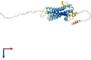 AlphaFold protein structure predicition of Human Recombinant TMEM184B Protein, UniprotID Q9Y519