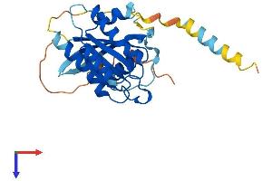 AlphaFold protein structure predicition of Human Recombinant RASL11B Protein, UniprotID Q9BPW5