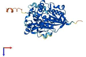 AlphaFold protein structure predicition of Human Recombinant NSUN3 Protein, UniprotID Q9H649