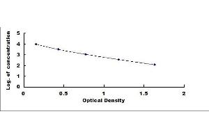 Cloprostenol (CP) ELISA Kit