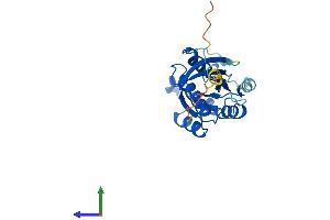 AlphaFold protein structure predicition of Human Recombinant RAB4A Protein, UniprotID P20338