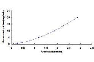 ELISA image for Platelet Factor 4 (PF4) ELISA Kit (ABIN415914)