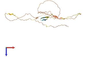 AlphaFold protein structure predicition of Mouse Recombinant Fam220a Protein, UniprotID Q3ZN08