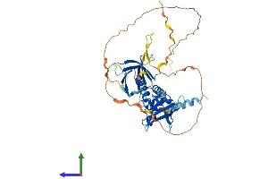 AlphaFold protein structure predicition of Mouse Recombinant Stap2 Protein, UniprotID Q8R0L1