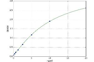 S100 Calcium Binding Protein A13 (S100A13) ELISA Kit