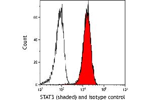 Flow Cytometry (FACS) image for anti-Signal Transducer and Activator of Transcription 3 (Acute-Phase Response Factor) (STAT3) (AA 175-225) antibody (ABIN7455098)