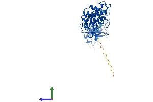 AlphaFold protein structure predicition of Mouse Recombinant Dffb Protein, UniprotID O54788