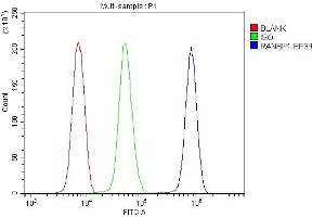 Flow Cytometry analysis of U937 cells using anti-RanBP1 antibody (ABIN5518868).