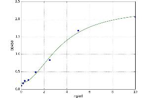 A typical standard curve