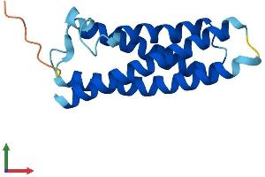 AlphaFold protein structure predicition of Human Recombinant MAL Protein, UniprotID P21145