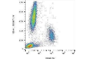 Flow cytometry analysis (surface staining) of human peripheral blood cells with anti-CD86 (BU63) PE. (CD86 anticorps  (PE))