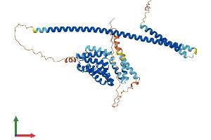 AlphaFold protein structure predicition of Mouse Recombinant Klc3 Protein, UniprotID Q91W40