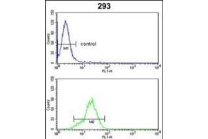 anti-Peroxiredoxin 1 (PRDX1) (AA 88-116) antibody