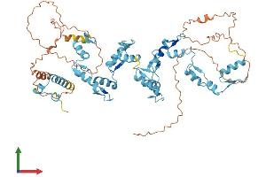 AlphaFold protein structure predicition of Human Recombinant ZNF440 Protein, UniprotID Q8IYI8