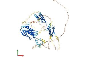 AlphaFold protein structure predicition of Human Recombinant STAU2 Protein, UniprotID Q9NUL3