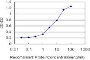 Detection limit for recombinant GST tagged HSPB1 is approximately 0.