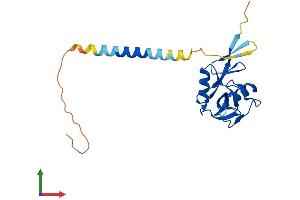 AlphaFold protein structure predicition of Human Recombinant KLRF2 Protein, UniprotID D3W0D1