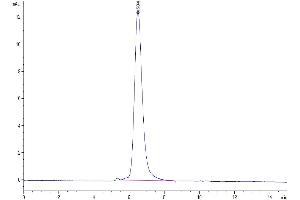 The purity of Human M-CSF is greater than 95 % as determined by SEC-HPLC. (M-CSF/CSF1 Protein (AA 33-190) (His-Avi Tag))