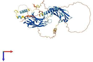 AlphaFold protein structure predicition of Mouse Recombinant Syt6 Protein, UniprotID Q9R0N8