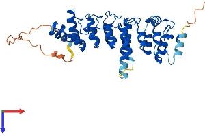 AlphaFold protein structure predicition of Mouse Recombinant Nfkbid Protein, UniprotID Q2TB02