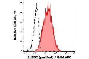 Separation of MCF-7 cells stained using anti-human SUSD2 (W5C5) purified antibody (concentration in sample 5,0 μg/mL, GAM APC, red-filled) from MCF-7 cells unstained by primary antibody (GAM APC, black-dashed) in flow cytometry analysis (surface staining). (SUSD2 anticorps)