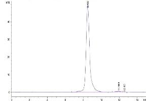 The purity of Biotinylated Human FAP is greater than 95 % as determined by SEC-HPLC.