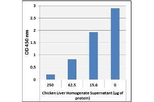 Cholic Acid Levels in Liver. (Cholic Acid Kit ELISA)