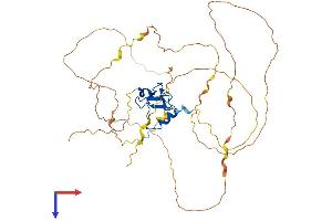 AlphaFold protein structure predicition of Human Recombinant PYGO1 Protein, UniprotID Q9Y3Y4