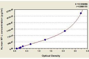 Typical standard curve (NEFL Kit ELISA)