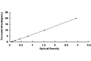 Typical standard curve (Attractin Kit ELISA)
