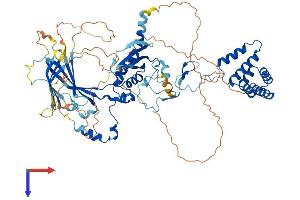 AlphaFold protein structure predicition of Human Recombinant SUZ12 Protein, UniprotID Q15022