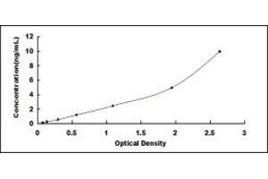 Typical standard curve (LEPREL1 Kit ELISA)