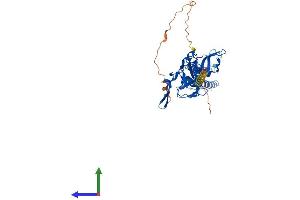 AlphaFold protein structure predicition of Mouse Recombinant Kcnj6 Protein, UniprotID P48542
