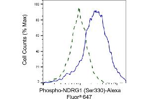 Validation of NDRG1 knockdown using flow cytometry.