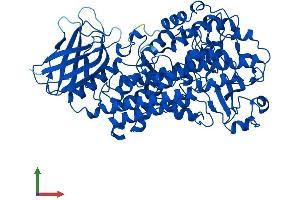 AlphaFold protein structure predicition of Human Recombinant ALOX5 Protein, UniprotID P09917