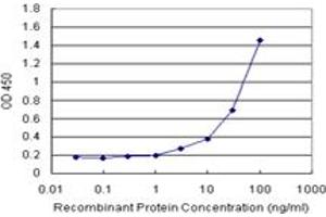 CA1 (Human) Matched Antibody Pair