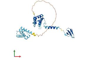 AlphaFold protein structure predicition of Mouse Recombinant Tcea2 Protein, UniprotID Q9QVN7