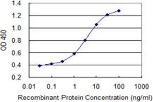 Detection limit for recombinant GST tagged PRKCD is 0. (PKC delta anticorps  (AA 577-676))