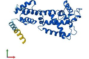 AlphaFold protein structure predicition of Mouse Recombinant Elmod2 Protein, UniprotID Q8BGF6