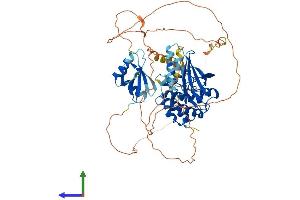 AlphaFold protein structure predicition of Human Recombinant MAP3K3 Protein, UniprotID Q99759