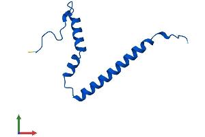 AlphaFold protein structure predicition of Human Recombinant MRPS21 Protein, UniprotID P82921