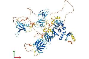 AlphaFold protein structure predicition of Mouse Recombinant Prkd1 Protein, UniprotID Q62101