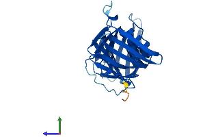 AlphaFold protein structure predicition of Human Recombinant PCNA Protein, UniprotID P12004
