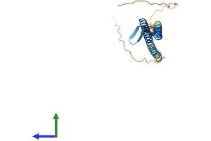 AlphaFold protein structure predicition of Mouse Recombinant Nrsn1 Protein, UniprotID P97799