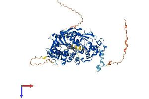 AlphaFold protein structure predicition of Human Recombinant TRMT1 Protein, UniprotID Q9NXH9